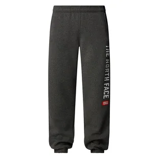 Spodnie The North Face Varsity Graphic 0A89DPDYY1 - szare - Spodnie męskie - miniaturka - grafika 1