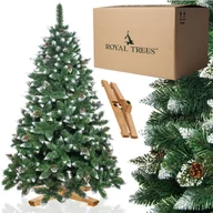 Choinki - Choinka sztuczna z szyszkami Premium Royal Trees 150 cm sosna diamentowa ośnieżona - miniaturka - grafika 1