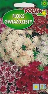 Nasiona i cebule - Floks gwiaździsty mieszany 0.5 g POLAN - miniaturka - grafika 1