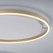 Lampy sufitowe - Paul Neuhaus Mosiężna lampa sufitowa 58 8 cm z 3-stopniową regulacją LED - Zlatan - miniaturka - grafika 1