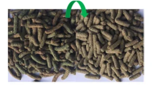 VERSELE-LAGA Cuni Adult Complete 8kg Pokarm dla królików + VERSELE LAGA Snack Popcorn 650g - mieszanka uzupełniająca z popcornem dla gryzoni - Karma dla gryzoni - miniaturka - grafika 4