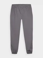 Spodnie męskie - 4F Spodnie casual joggery męskie - szare XXL - miniaturka - grafika 1