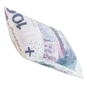 Poduszki dekoracyjne - Poduszka STÓWKA 100 PLN - miniaturka - grafika 1