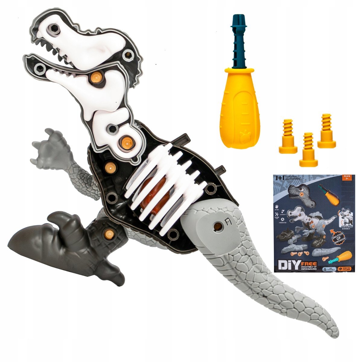 Zestaw Konstrukcyjny Diy Dinozaur Do Skręcania Składania Szkielet Dino