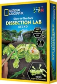 Zabawki interaktywne dla dzieci - National Geographic National Geographic Gecko Dissection Lab - miniaturka - grafika 1