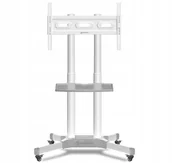 Uchwyty do telewizora - ONKRON TV SET ACC MOBILE STAND/32-65"/WHITE TS1351-W TS1351-W 4262392440666 - miniaturka - grafika 1