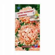 Nasiona i cebule - Aster peoniowy Janina 1g / O / - miniaturka - grafika 1