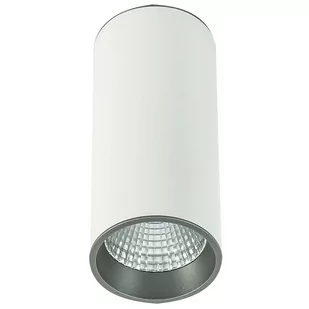 Italux Spot LAMPA sufitowa MOLDES SLC7392/12W 4000K WH+GR spot OPRAWA LED 12W metalowa TUBA plafon biały szary - Lampy sufitowe - miniaturka - grafika 1