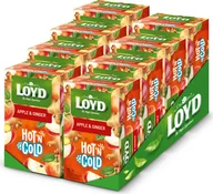 Herbata - Loyd Hot’N Cold - Jabłko i Imbir - Zestaw 8 Sztuk - Ekspresowa Herbata Owocowa na Zimno i Ciepło, Cold Brew, Torebki Pakowane Pojedynczo - miniaturka - grafika 1