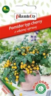 Nasiona i cebule - NASIONA Pomidor Koktajlowy Cherry Aztek 0,2g PLANTICO Do Sałatek 426511 - miniaturka - grafika 1