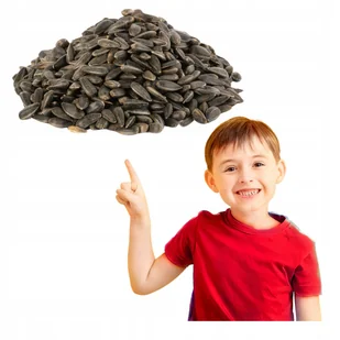 CZARNY SŁONECZNIK DLA PTAKÓW ZIARNO DO DOKARMIANIA PTAKÓW CAŁOROCZNE 5kg - Ziarna i nasiona roślin strączkowych - miniaturka - grafika 1