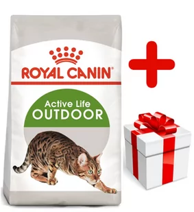 Royal Canin Outdoor 10 kg - Sucha karma dla kotów - miniaturka - grafika 1