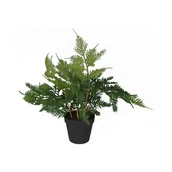 Sztuczne kwiaty - SPLENDID Asparagus sztuczny 45cm w doniczce - miniaturka - grafika 1