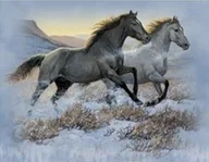 Zabawki kreatywne - Diamentowa Mozaika Konie Czarny I Biały Galopujące Przez Step 30x40 - miniaturka - grafika 1