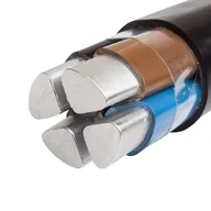 Przewody elektryczne - Kabel YAKY 4x35 SE 0,6/1kV, żyły jednodrutowe sektorowe, ELTRIM - miniaturka - grafika 1