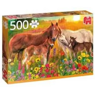 Puzzle - Jumbo Puzzle 500 PC Konie na łące G3 - miniaturka - grafika 1