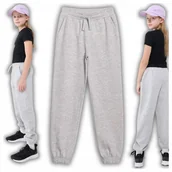 Spodnie damskie - 4F Spodnie Dresowe Dziewczęce Szare Bawełniane French Terry Rozmiar 140 - miniaturka - grafika 1