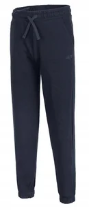 4F OCIEPLANE DZIEWCZÄCE SPODNIE DRESOWE BAWEĹNA / rozm 134 - Dresy męskie 4F OCIEPLANE DZIEWCZÄCE SPODNIE DRESOWE BAWEĹNA / rozm 134 - Dresy męskie - miniaturka - grafika 1