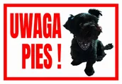 Akcesoria BHP - Uwaga Pies  Sznaucer - Tabliczka Ostrzegawcza - miniaturka - grafika 1