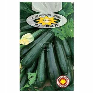 CUKINIA DYNIA BLACKBEAUTY WCZESNA NASIONA 2G - Nasiona i cebule - miniaturka - grafika 1