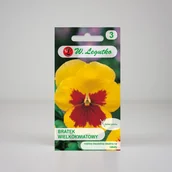 Nasiona i cebule - Bratek Early Yellow Red Blotch Żółty 0,4g - Nasiona - W. Legutko - miniaturka - grafika 1