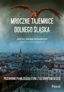 Mroczne tajemnice Dolnego Śląska. Przewodnik po miejscach, które żyją sekretami do dziś - Przewodniki - miniaturka - grafika 1