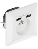 Gniazdka elektryczne - Orno Gniazdo pojedyncze 2P+Z, USBx2 OR-AE-13140 - miniaturka - grafika 1