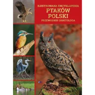 Rozwój osobisty - Ilustrowana encyklopedia ptaków Polski - miniaturka - grafika 1