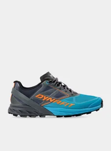 Buty trailowe Dynafit Alpine - magnet/frost - Buty sportowe damskie - miniaturka - grafika 1