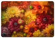 Podkładki na biurko - Podkładka na biurko Asters 50x70 cm - miniaturka - grafika 1