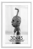 Ramki na zdjęcia - Srebrna rama aluminiowa 30x45 cm - miniaturka - grafika 1