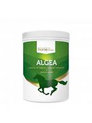 Horselinepro Algea 1500G