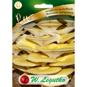 Nasiona i cebule - Grzybnia Boczniak cytrynowy 20szt. W. Legutko - miniaturka - grafika 1