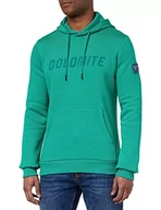 Bluzy męskie - Dolomite Męska bluza z logo, szałwiowa zieleń, XL, Zielony (Sage Green), XL - miniaturka - grafika 1