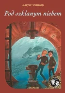 Powieści i opowiadania - Pod szklanym niebem Martin Widmark LETNIA WYPRZEDAŻ DO 80% - miniaturka - grafika 1