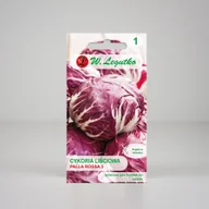 Nasiona i cebule - Cykoria sałatowa głowiasta Palla rossa 3 Czerwona 0,5g - Nasiona - W. Legutko - miniaturka - grafika 1