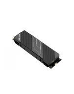 Dyski SSD - HIKSEMI FUTUREX LITE 1TB M.2 PCIe Gen4x4 NVMe 2280 HS-SSD-FUTUREX Lite(STD)/1024G/PCIE4/WW - miniaturka - grafika 1