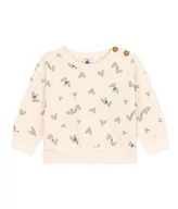 Bluzy dla chłopców - Petit Bateau Baby chłopięca bluza A08G4, biała Avalanche/Green Paul, 6 miesięcy, Biały Avalanche/zielony Paul, 6 miesi?cy - miniaturka - grafika 1
