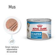 Mokra karma dla psów - Royal Canin Starter Mousse Mother&Babydog 195g 231240 - miniaturka - grafika 1