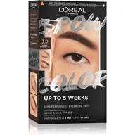 LOREAL BROW COLOR ZESTAW DO KOLORYZACJI BRWI 3.0 DARK BRUNETTE