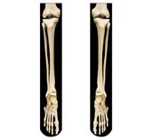 Gadżety dla niej i dla niego - GoDan Podkolanówki "Kościotrup", rozm. un. FF-POKO - miniaturka - grafika 1