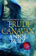 Audiobooki - fantastyka i horror - Anioł burz. Prawo milenium. Księga 2 - miniaturka - grafika 1