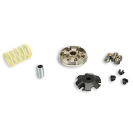Części motocyklowe - Variator Malossi Multivar 2000 do Speedfight,Elyseo, Trekker,Vivacity 100 (po roku prod. 9/99), ciężary: 19 x 15,5 mm - 11 g modele katowe 50 - miniaturka - grafika 1