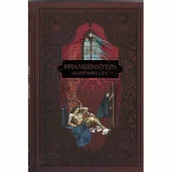 Literatura obyczajowa - Frankenstein - Mary Shelly - książka - miniaturka - grafika 1