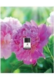 Podstawka zdzierak uniwersalna MIX ARTSEZON - Kalendarze - miniaturka - grafika 1