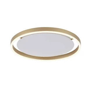 Lampa sufitowa LED 20W RITUS 15391-60 Paul Neuhaus - Lampy sufitowe - miniaturka - grafika 1