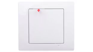 ZAMEL ZAMEL EXL10000005 | RADIOWY NADAJNIK KLAWISZOWY 2-KANAŁOWY DWUKIERUNKOWY TYP: RNK-22 RNK-22 - Systemy inteligentnych domów - miniaturka - grafika 1