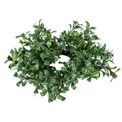 Sztuczne kwiaty - [w0453] Wianek z bukszpanu mały 17cm - miniaturka - grafika 1