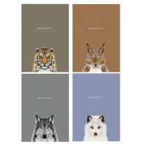 Astra Notes A5/64K gładki Sketch&note Wild Animals 4823088214970 - Zeszyty szkolne - miniaturka - grafika 1