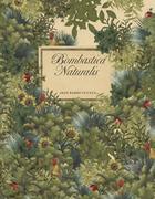 Powieści i opowiadania - Bombastica Naturalis Iban Barrenetxea - miniaturka - grafika 1